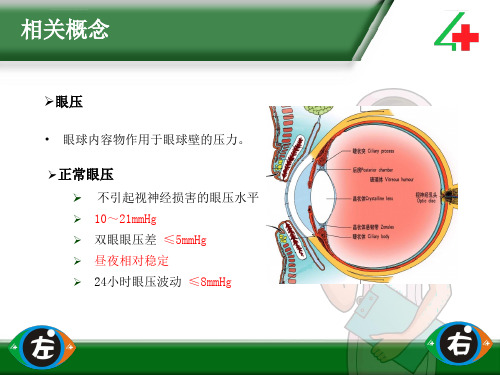 非接触式眼压测量操作流程参考ppt课件.ppt