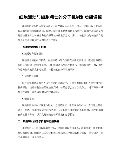 细胞活动与细胞凋亡的分子机制和功能调控