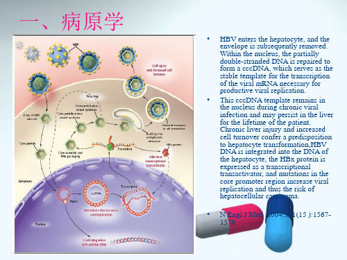 EASL慢乙肝防治指南浅析-PPT文档资料