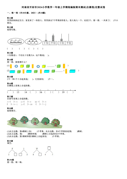 河南省开封市2024小学数学一年级上学期统编版期末测试(自测卷)完整试卷