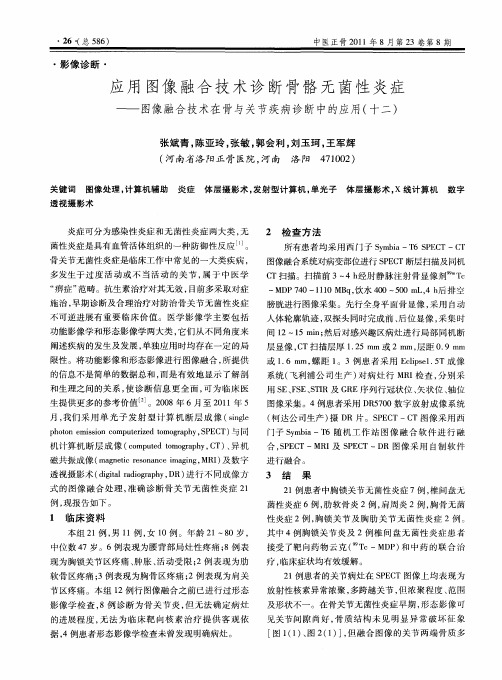 应用图像融合技术诊断骨骼无菌性炎症——图像融合技术在骨与关节疾病诊断中的应用(十二)