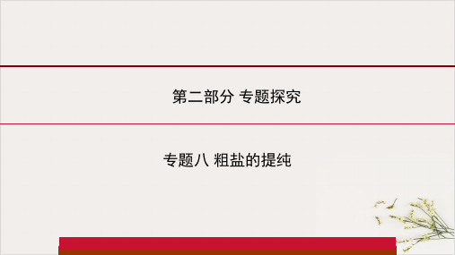 河南省中考专题训粗盐的提纯精品课件