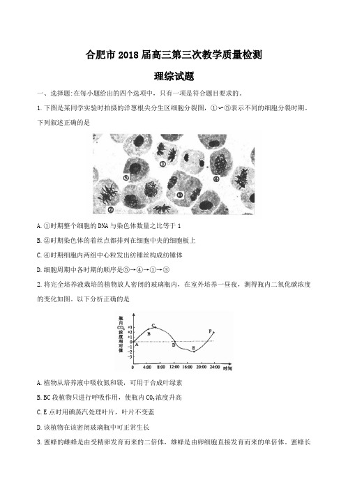 安徽省合肥市2018届高三第三次教学质量检测理科综合试卷含答案