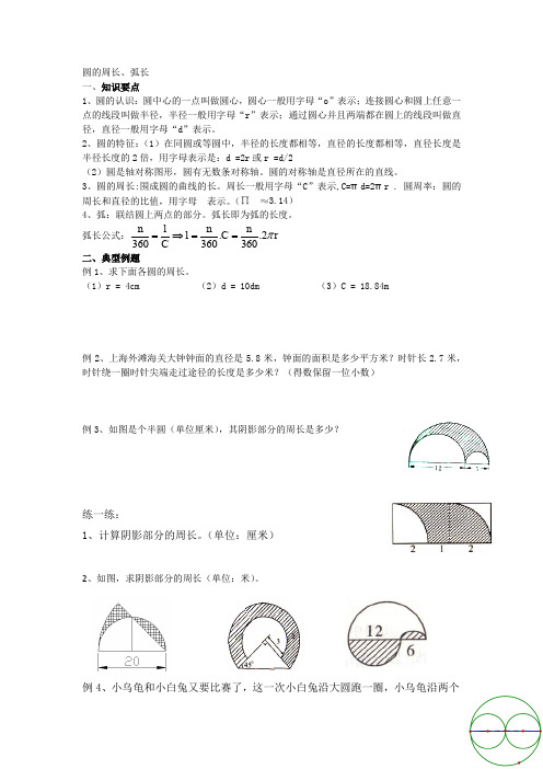 圆的周长与弧长讲义