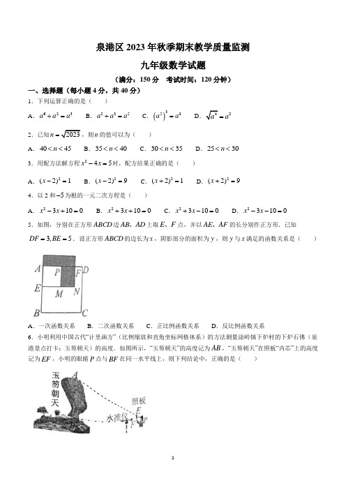 福建省泉州市泉港区2023-2024学年九年级上学期期末数学试题(含答案)