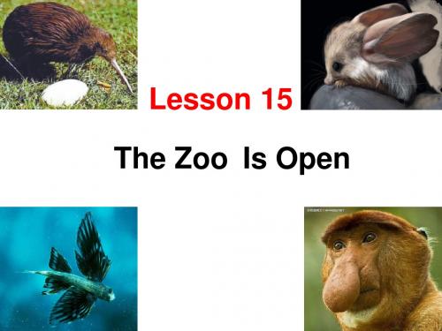 冀教版英语八年级下册  Unit 3  Lesson 15《The Zoo Is Open》 (共35张PPT)