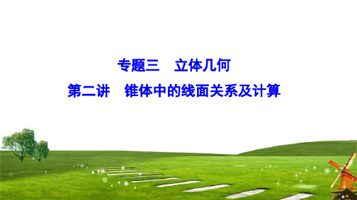 2020新课标高考数学(文)二轮总复习课件：1-3-2 锥体中的线面关系及计算