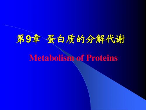生物化学蛋白质的分解代谢