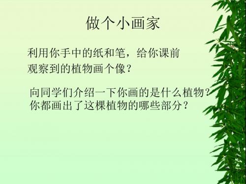 青岛版科学四上《物的身体》PPT课件1-教育资料