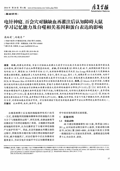 电针神庭、百会穴对脑缺血再灌注后认知障碍大鼠学习记忆能力及自