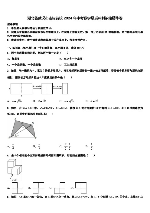 湖北省武汉市达标名校2024届中考数学最后冲刺浓缩精华卷含解析