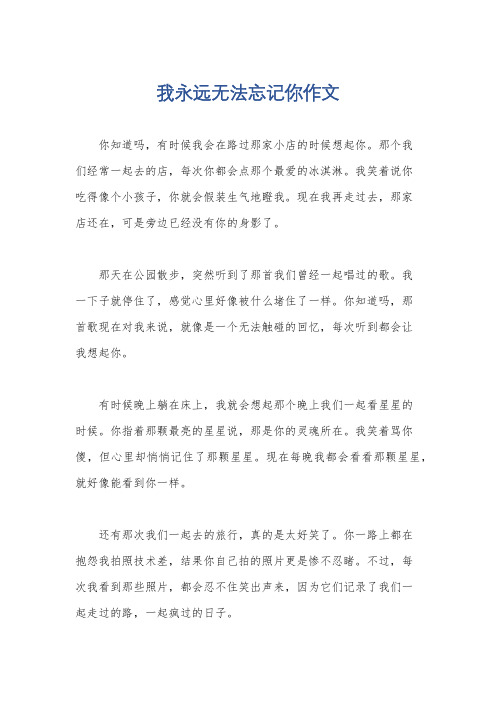 我永远无法忘记你作文