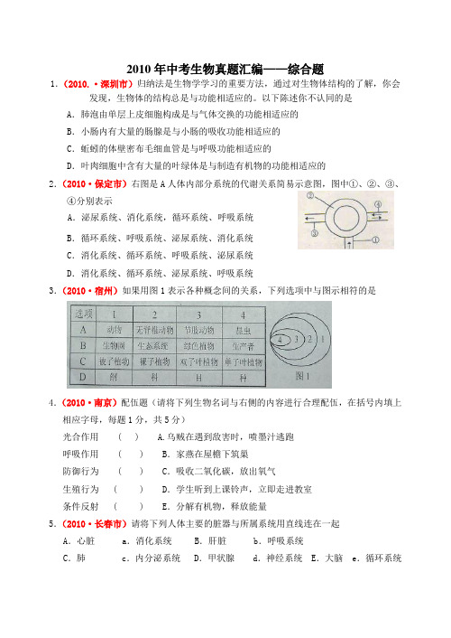 2010年中考专题汇编18(综合题)