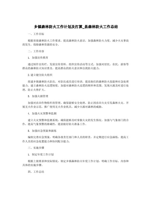 乡镇森林防火工作计划及打算_县森林防火工作总结