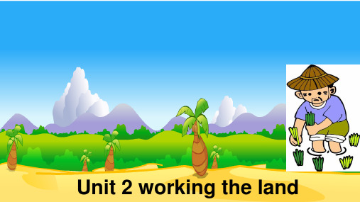 人教版高中英语必修四 Unit 2 Working the land Reading课件 (1)