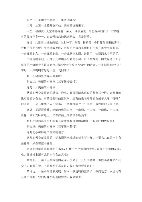 精选美丽的小树林三年级作文共五篇