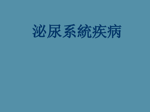 泌尿系统疾病