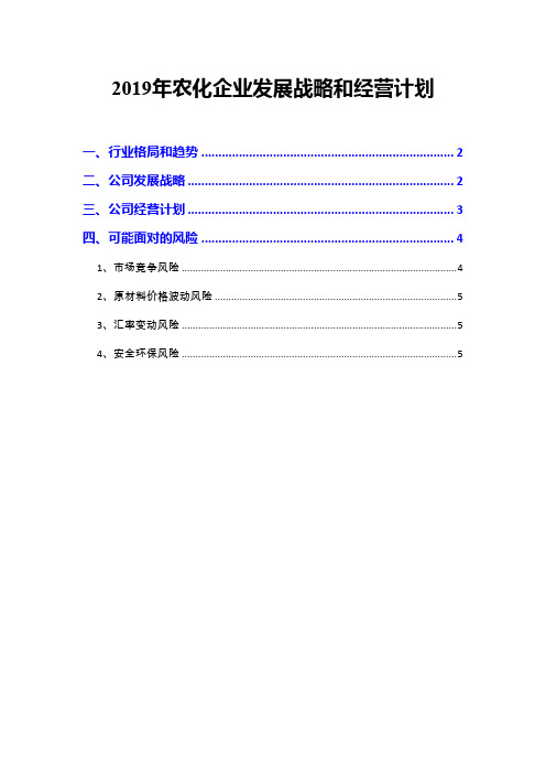 2019年农化企业发展战略和经营计划