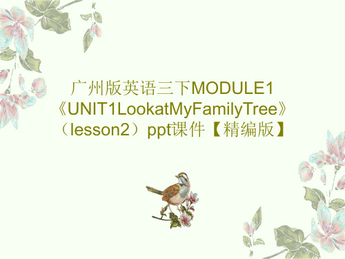 广州版英语三下MODULE1《UNIT1LookatMyFamilyTree》(lesson2)pp