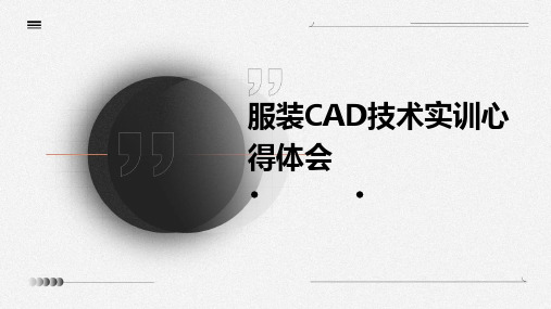 服装CAD技术实训心得体会PPT