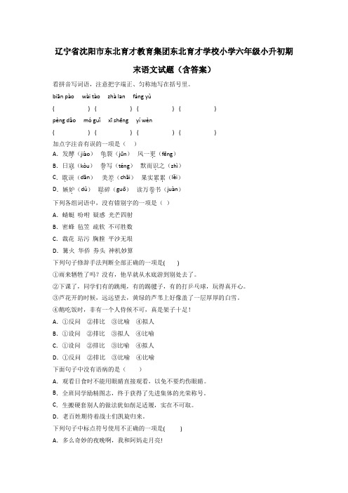 辽宁省沈阳市东北育才教育集团东北育才学校小学六年级小升初期末语文试题(含答案)