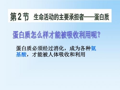 高一生物课件：必修一 第二章 第2节 生命活动的主要承担者──蛋白质课件