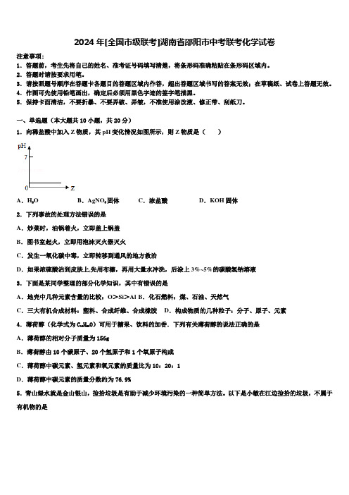 2024年[全国市级联考]湖南省邵阳市中考联考化学试卷含解析