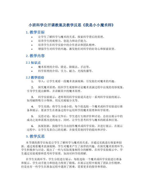 小班科学公开课教案及教学反思《我是小小魔术师》