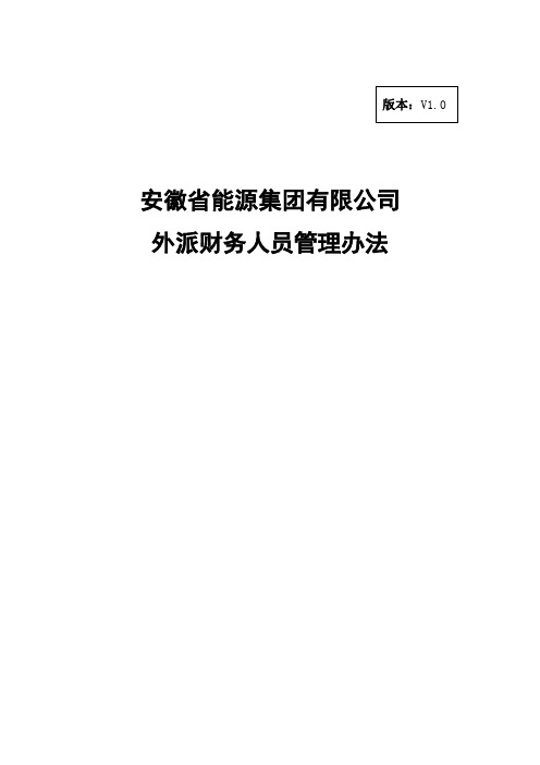 安徽省能源集团有限公司外派财务人员管理办法