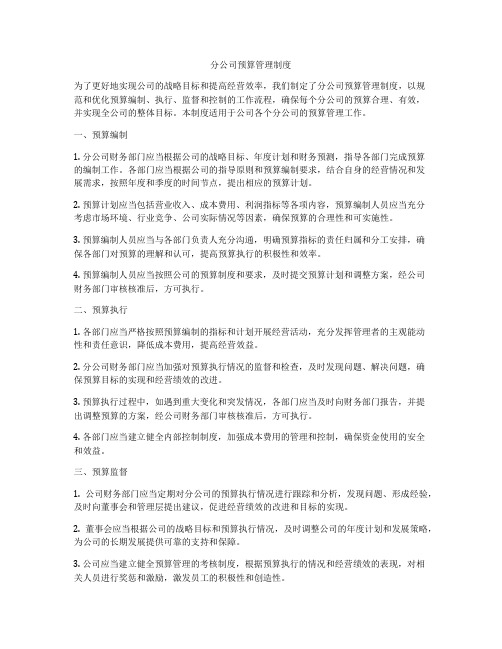 分公司预算管理制度