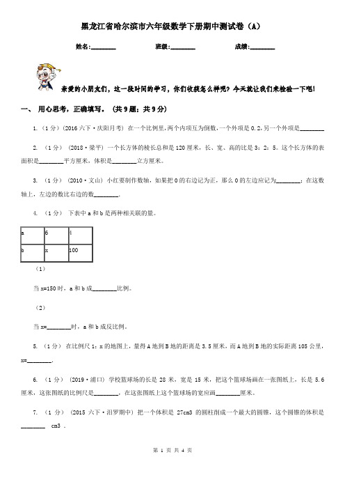 黑龙江省哈尔滨市六年级数学下册期中测试卷(A)