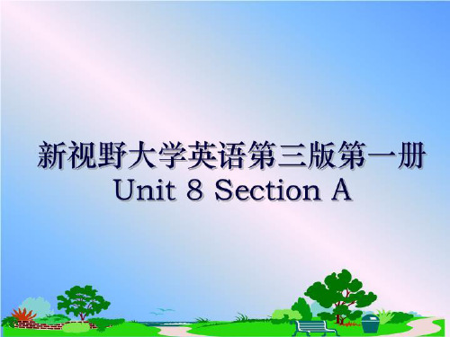 最新新视野大学英语第三版第一册Unit 8 Section A培训讲学