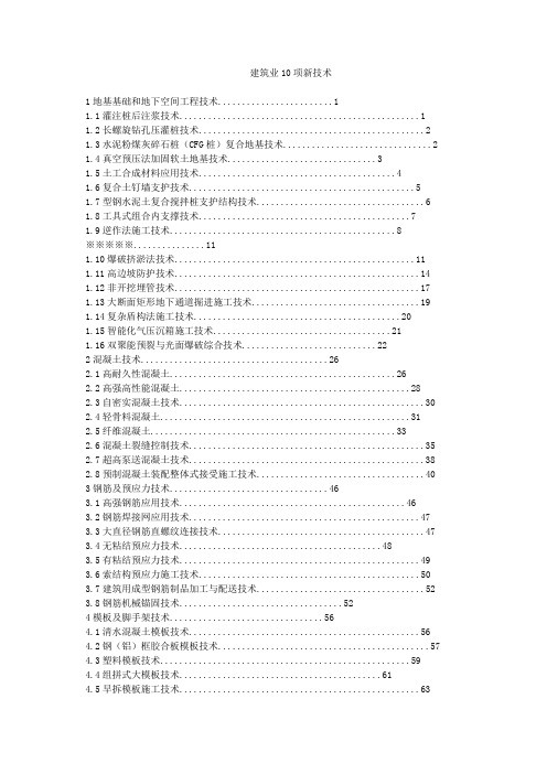 2010建筑业十项新技术(建质2010170号)