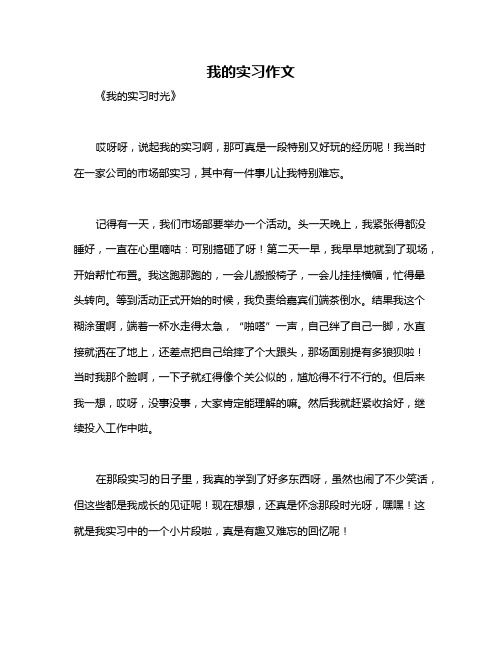 我的实习作文