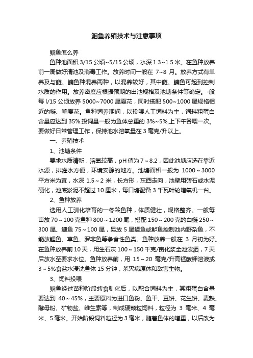 鮰鱼养殖技术与注意事项