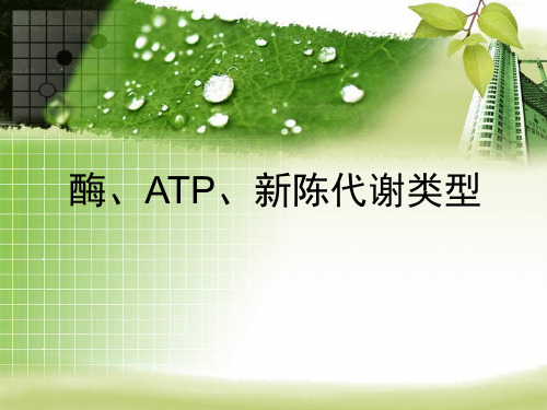 酶、ATP、新陈代谢类型