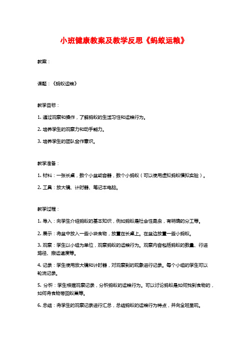 小班健康教案及教学反思《蚂蚁运粮》