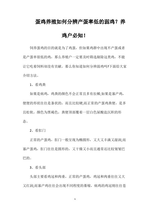 蛋鸡养殖如何分辨产蛋率低的弱鸡？养鸡户必知!