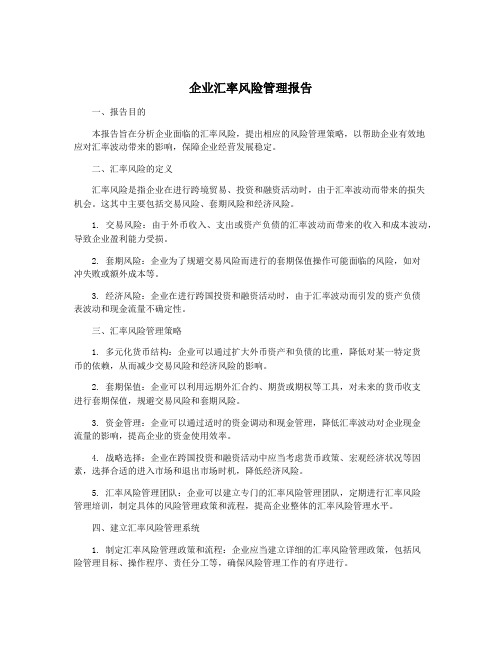 企业汇率风险管理报告