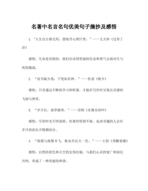 名著中名言名句优美句子摘抄及感悟