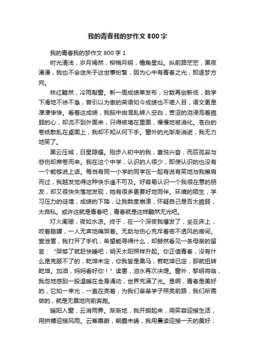 我的青春我的梦作文800字