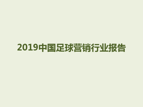 2018年中国足球营销行业报告