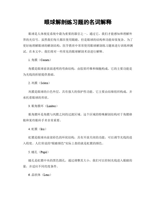 眼球解剖练习题的名词解释