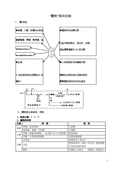 “糖类”知识归纳(知识+练习+答案)