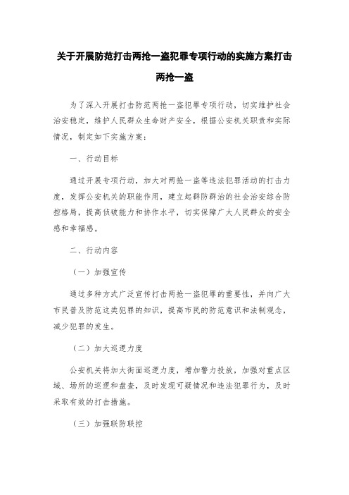 关于开展防范打击两抢一盗犯罪专项行动的实施方案打击两抢一盗