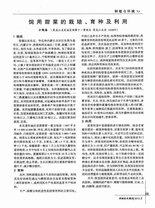 饲用甜菜的栽培、育种及利用