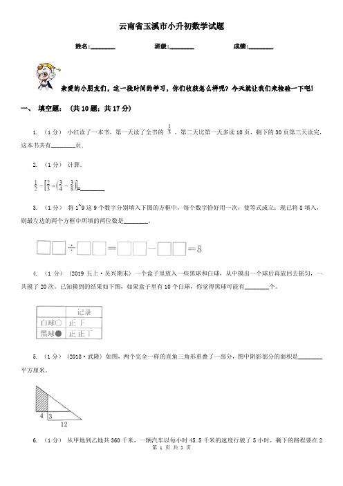 云南省玉溪市小升初数学试题 