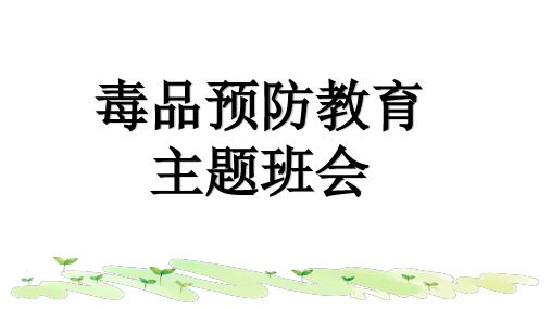 《毒品预防教育主题班会》(课件)-小学生主题班会