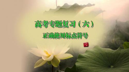 专题06(正确使用标点符号(武穴理工中专范少明))