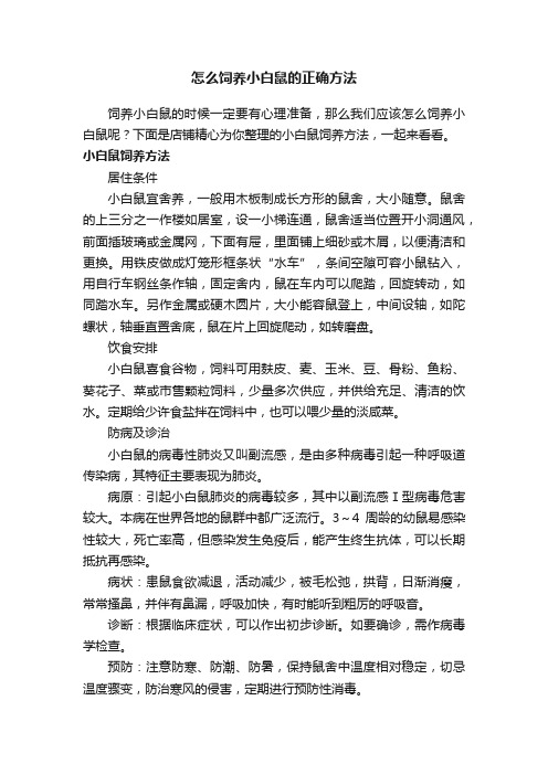 怎么饲养小白鼠的正确方法